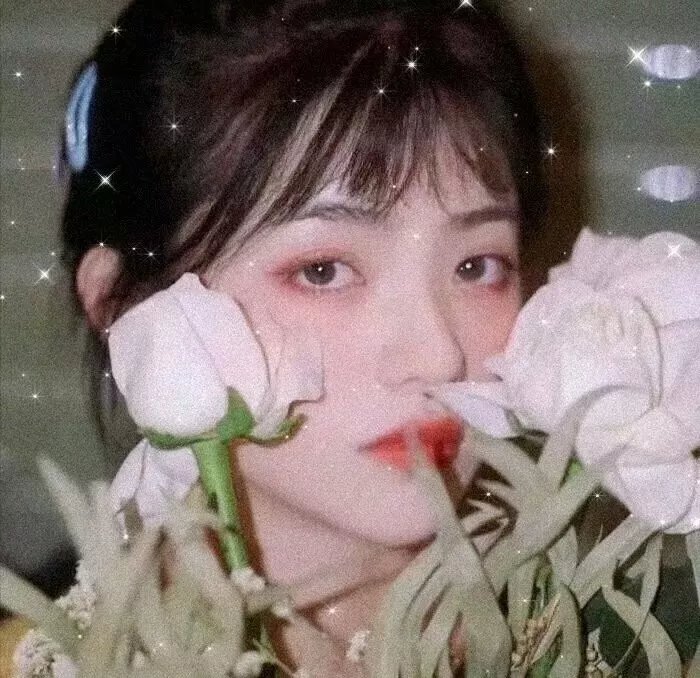 上海惊奇